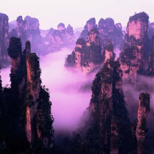  C6ҽ硢ɽԬҽҽ缃