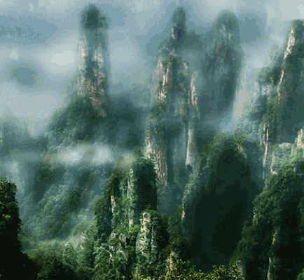  D5ҽ(gu)ɭֹ@SͶƯܽ(zhn)