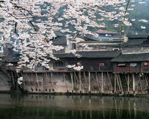  B15ҽɭֹ@SͶƯܽ(zhn)