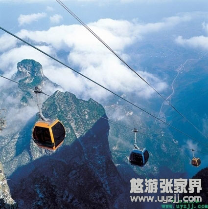  A5ҽ(gu)ɭֹ@STɽ