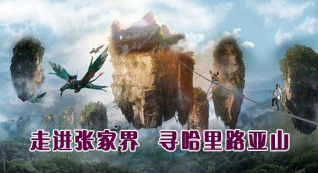  C5ҽԬҽҽ硢ɽռ