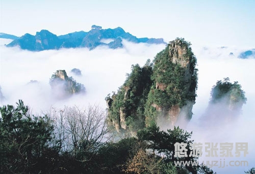  H5ؑcl(f)P˹ųǡҽ硢Ԭҽɽ܇