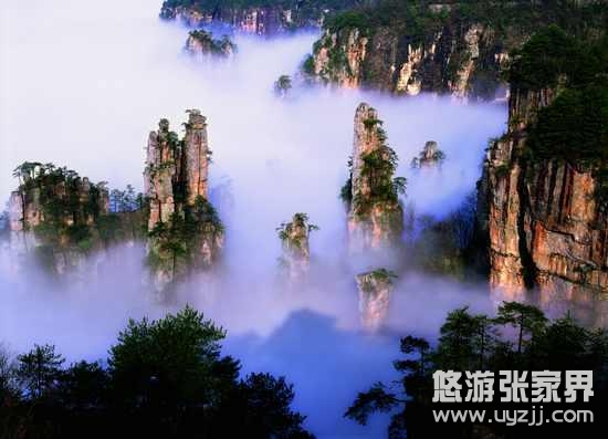 ҽٚqܷQ̡ҽ澳(mng)ɾ