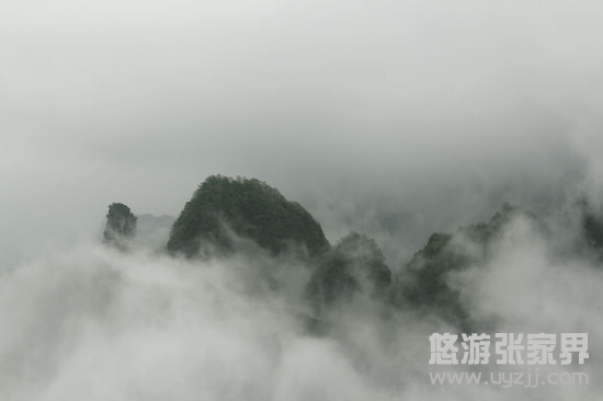 云夢(mèng)仙頂霧中景色