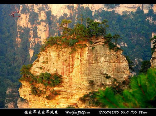  C9ҽԬҽҽɽTɽͶƯP˹ų