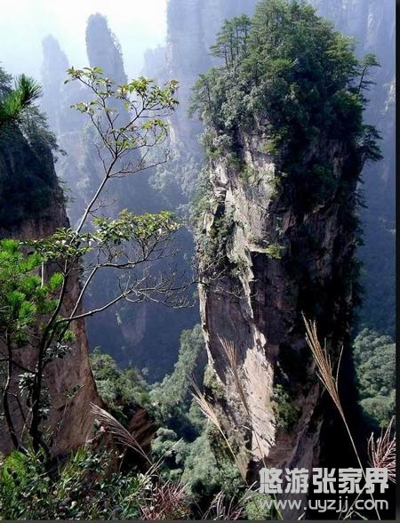 森林公園最為精華最好看的袁家界景區(qū)