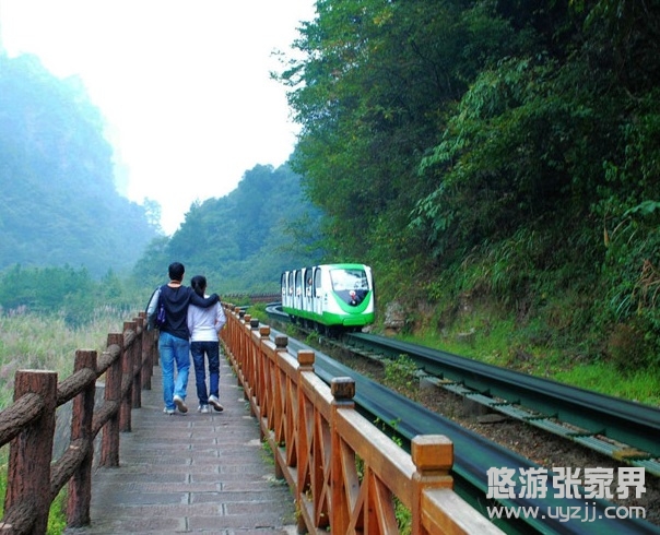 坐小火車或徒步瀏覽十里畫廊