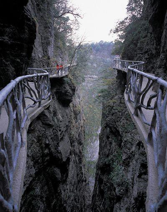  G11Lɳl(f)ҽԬҽ硢ɽTɽ